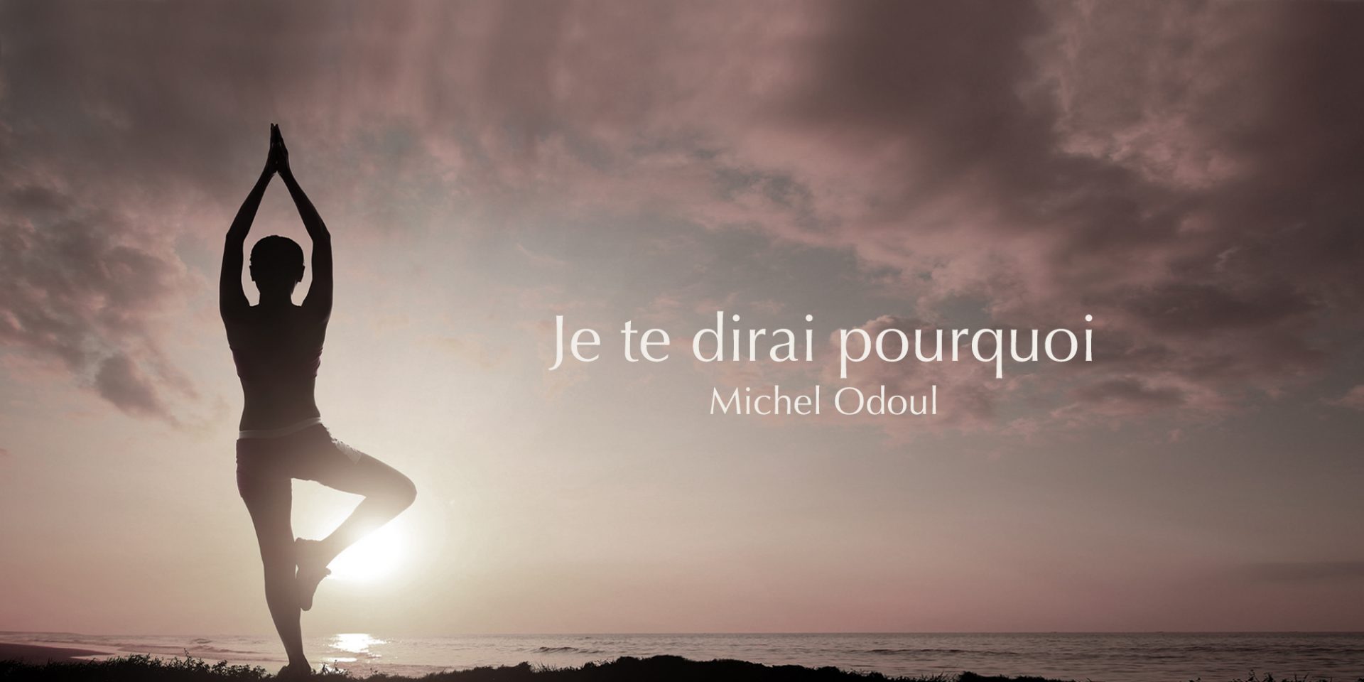 je-te-dirai